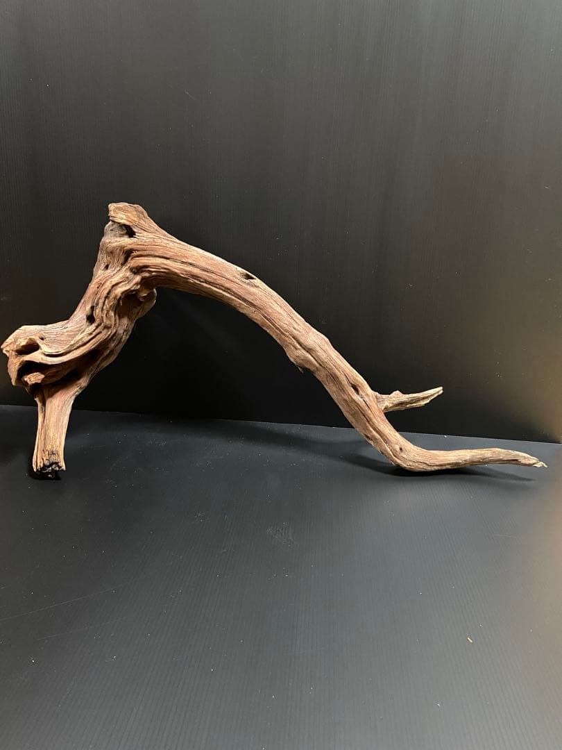 流木　大型　ホーンウッド　アクアリウム用