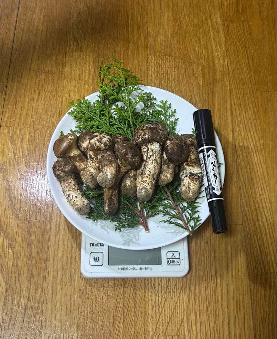 岩手県産松茸 176ｇ