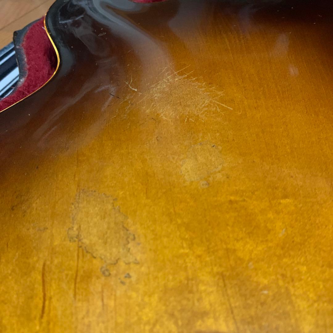 【調整済】EDWARDS E-SA-118LT / TBS