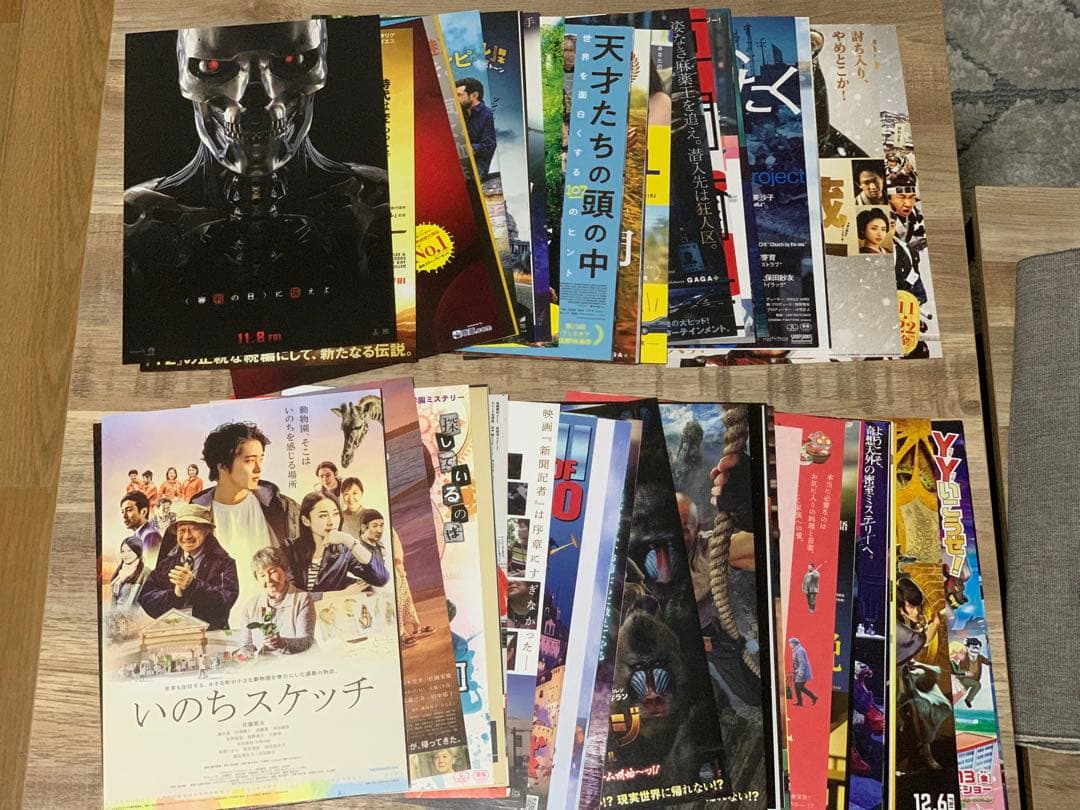 2019年公開の映画チラシコレクション【450枚以上】