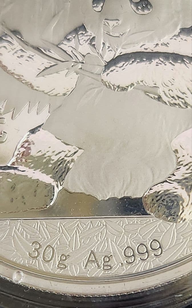 2017年 パンダ 銀貨 30g