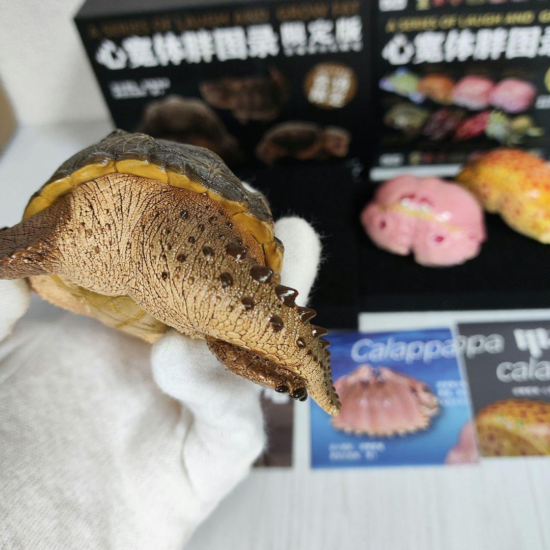 【動物の惑星】激レア★カミツキガメ限定品+カラッパ廃盤品!! フィギュア