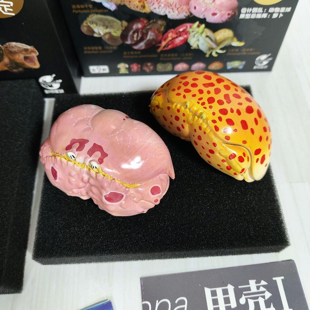 【動物の惑星】激レア★カミツキガメ限定品+カラッパ廃盤品!! フィギュア