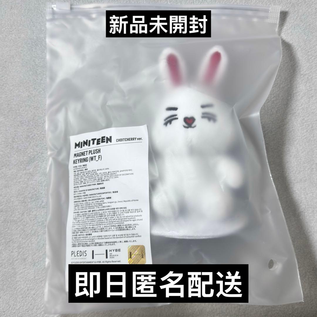 セブチ seventeen miniteen エスクプス マグネットキーリング