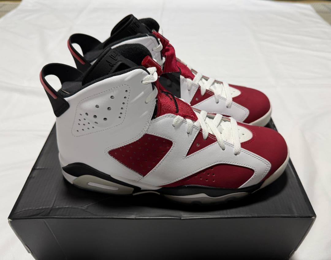 ナイキ NIKE AIR JORDAN 6 レトロ Carmine カーマイン