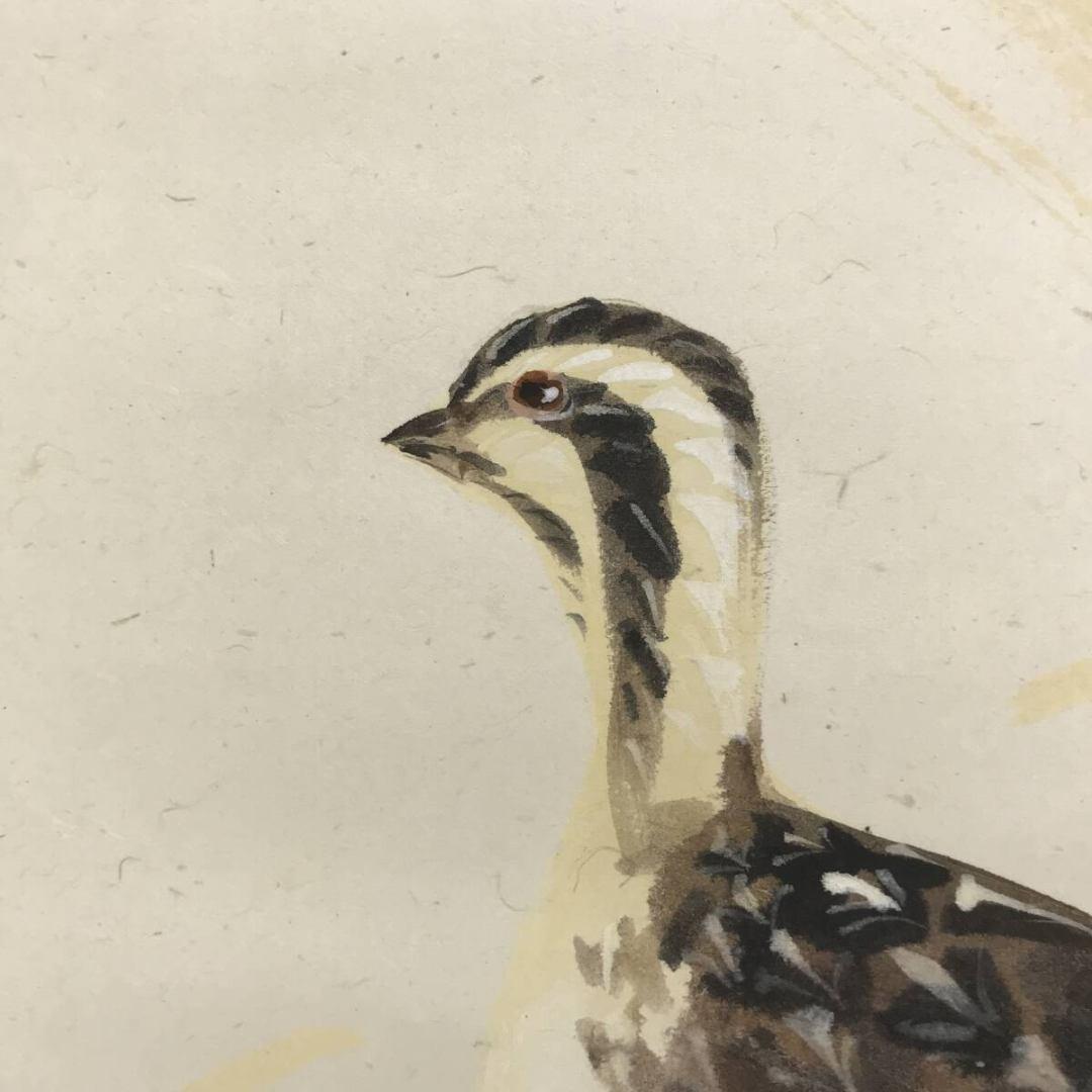 真作/山崎豊/鶉図/ウズラ図/花鳥図/秋の掛軸/☆宝船☆AK-570