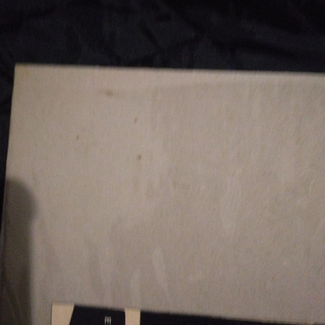 MADONNA 250ピースパズル 未開封