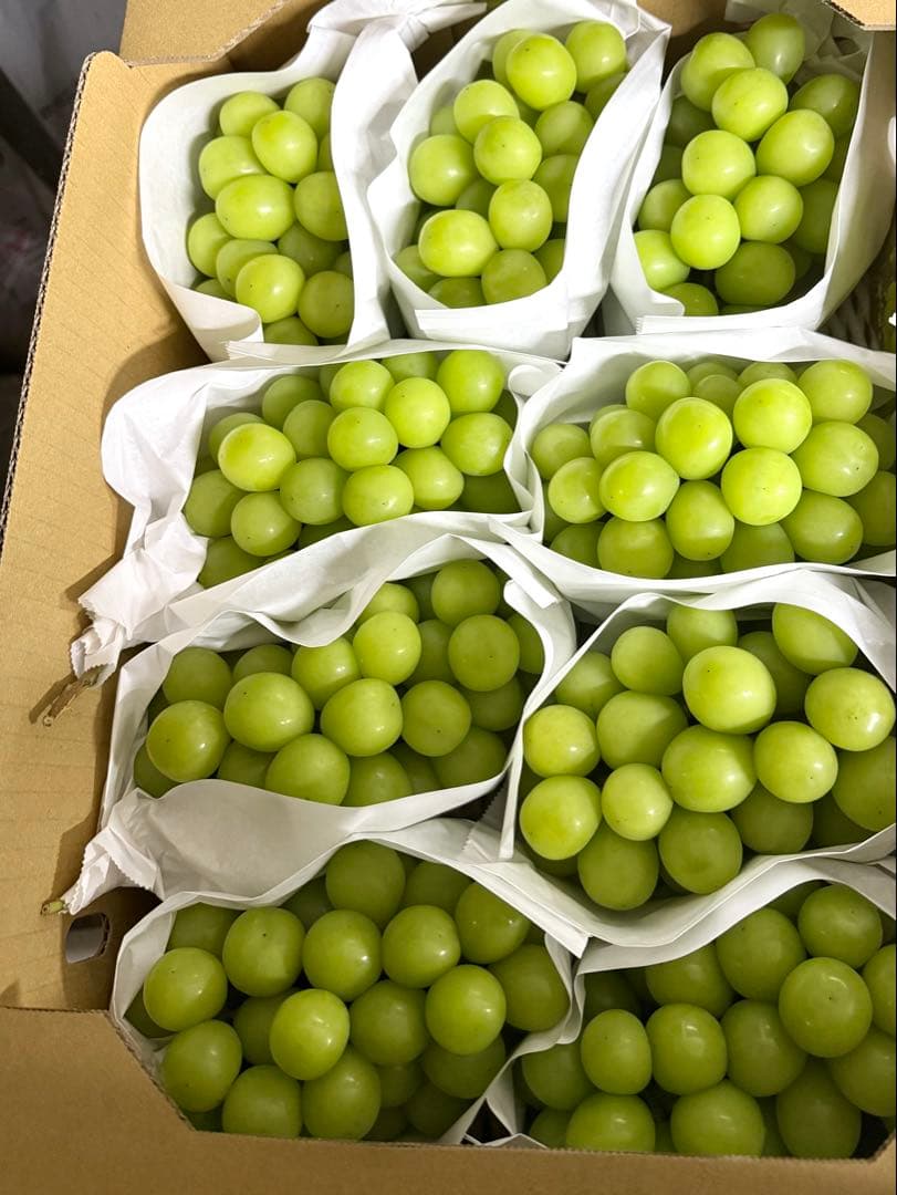 早い者勝ち！残り4箱！14日発送！今シーズン最終山梨県産シャインマスカット5kg