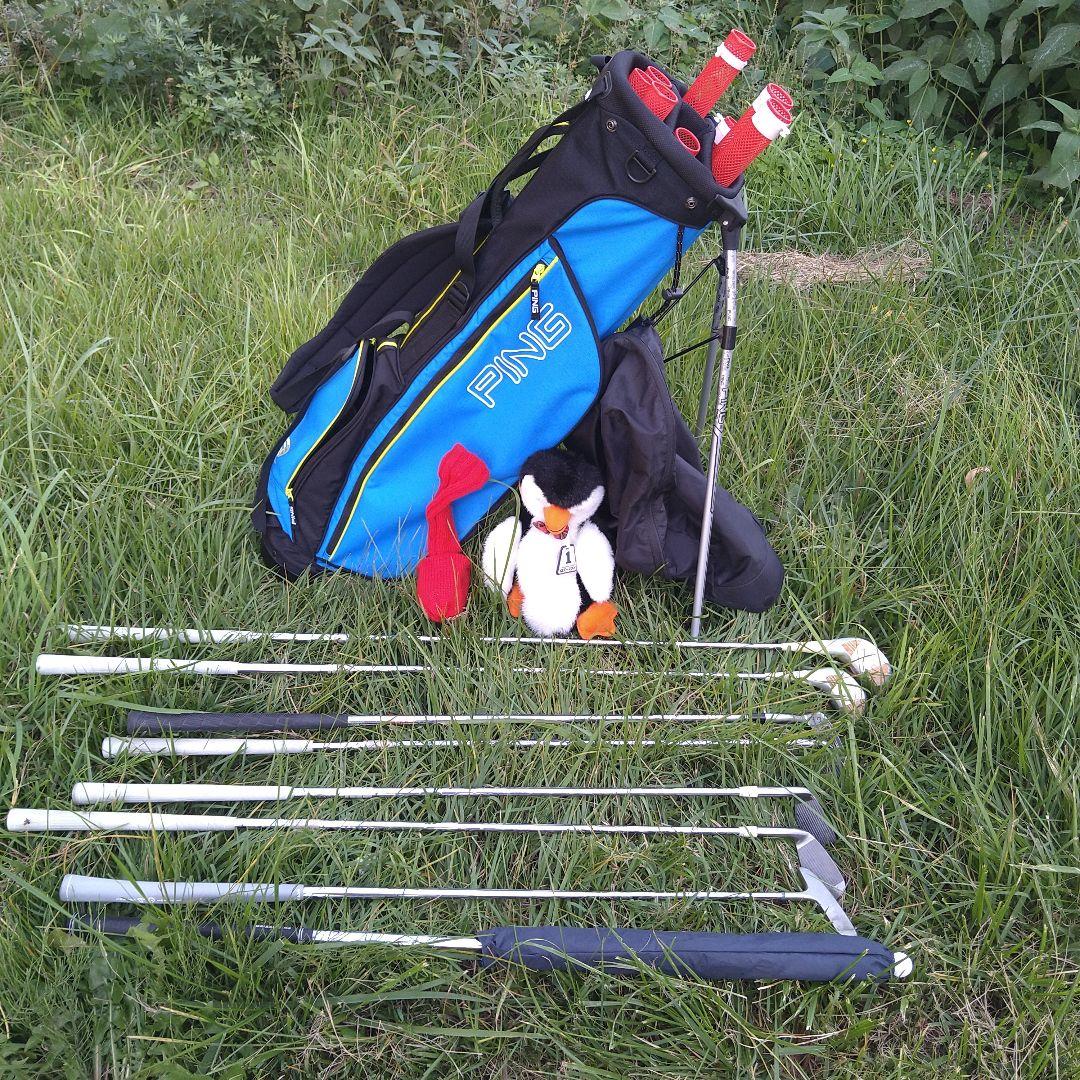 E2, PING キャディバッグ 青ミズノレディースハーフセット, 傘付き