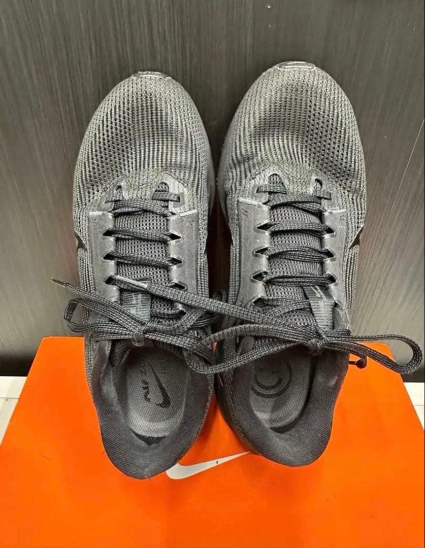 Nike zoomペガサス40 26cm