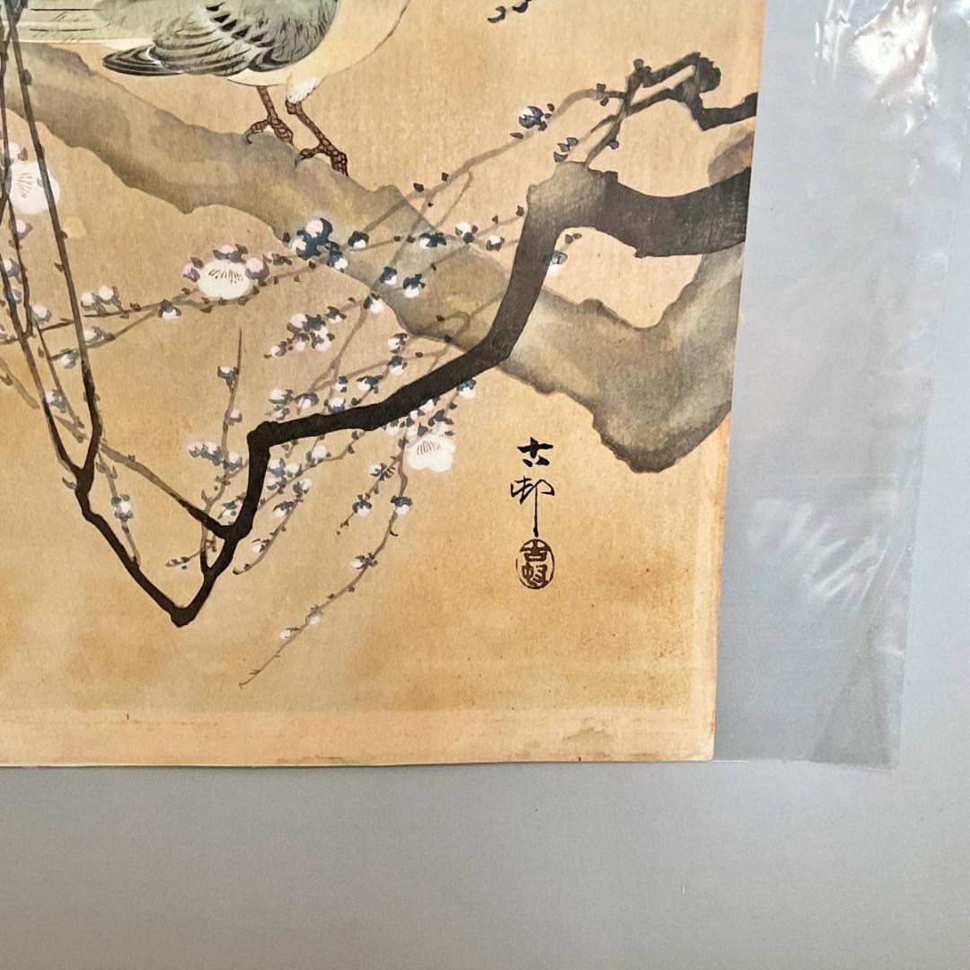 小原古邨 祥邨 豊邨 『梅に鶯』 明治後期作 木版画 真作 美品 鳥 ウグイス