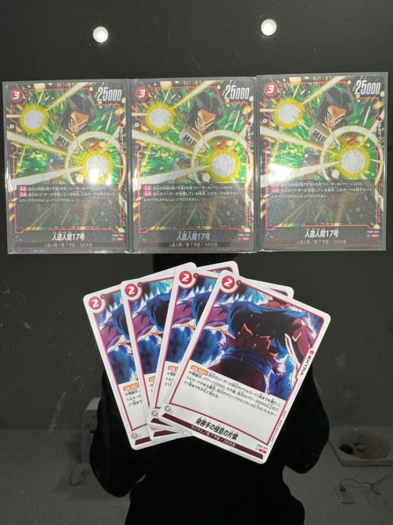 人造人間17号sr  身勝手の極意の片鱗4枚