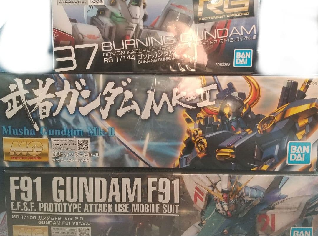 MG ニューガンダムverKa シャア専用ズゴック HG モンキーロディ他 6個