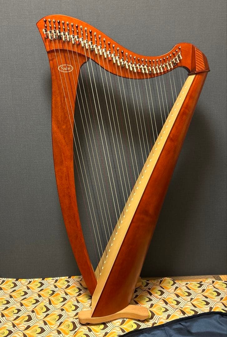 ♪Salvi レバーハープ34弦♪Mia(３年)総額44万相当ソフトケース付