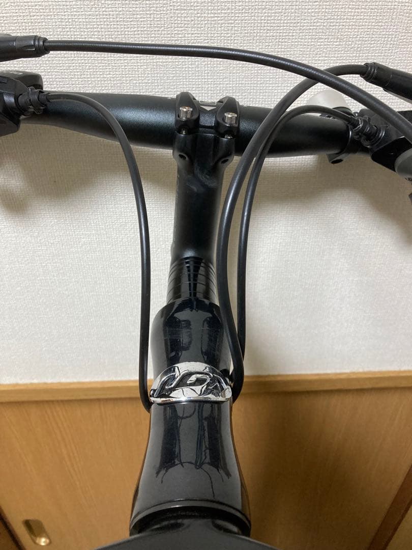 ルイガノ　確認用