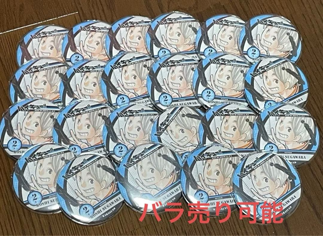 菅原孝支 原作 缶バッジ 23点セット ハイキュー