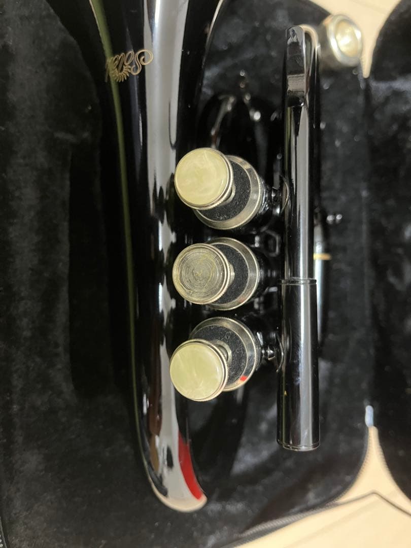 ポケットトランペット