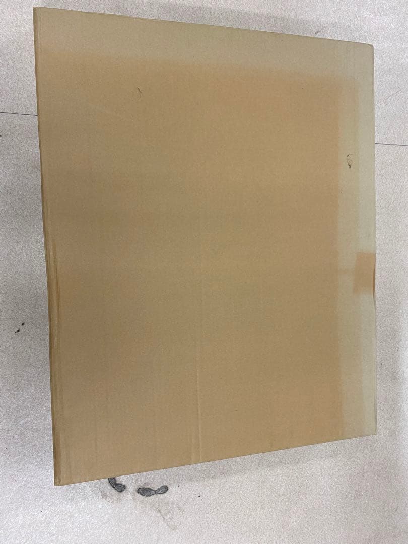 3-1358 東山魁夷　新復刻画『春の曙』