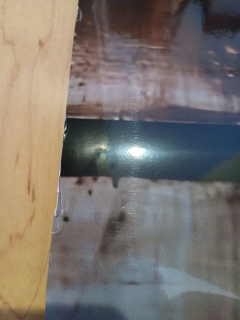 限界突破極限迄値下げしました/完売必死　橋本マナミ　⑮　等身大ポスター　未使用