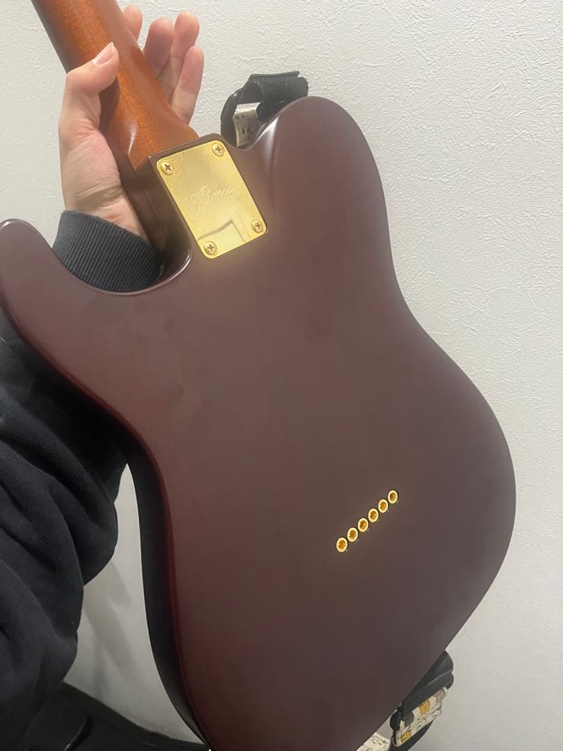 momose テレキャスターシンライン