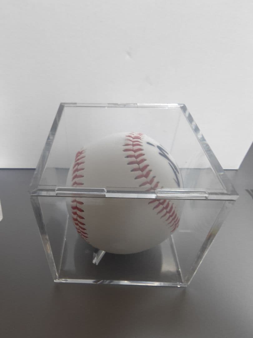 東京ヤクルトスワローズ 村上宗隆 山田哲人 直筆サインボール 2個セット おまけ