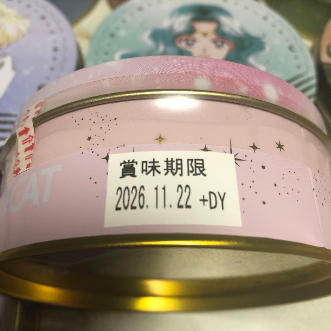 【新品未開封】限定セーラームーン チョコレート 全10種コンプリートセット