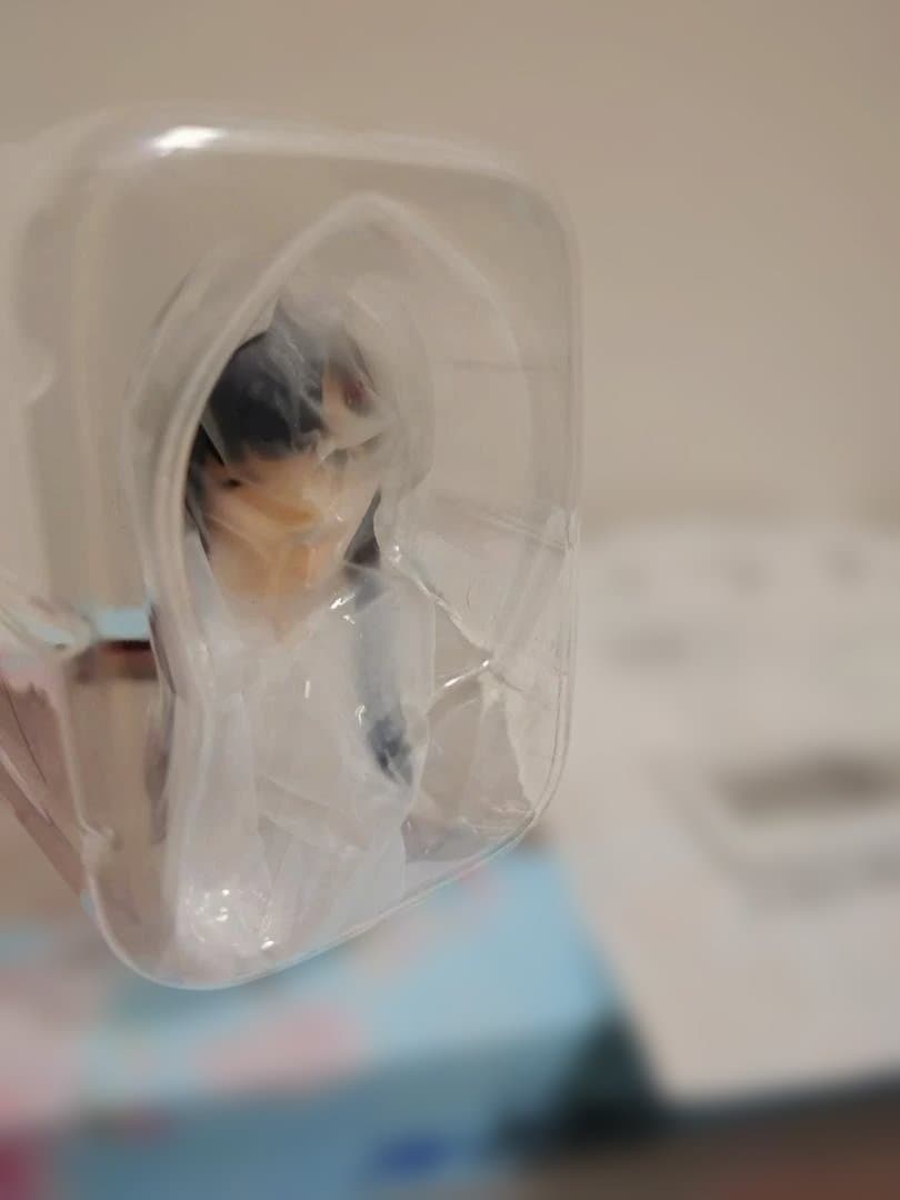 イチカ ブルーアーカイブ（グッドスマイルカンパニー特典付）