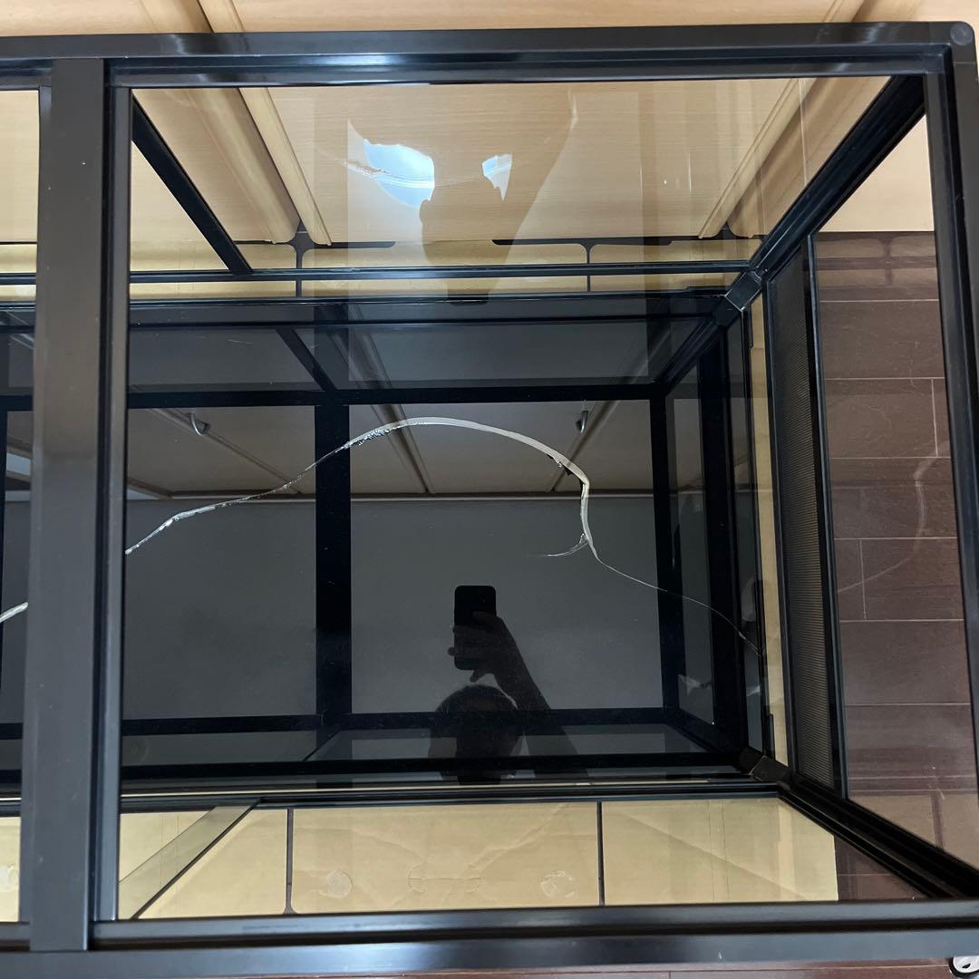 REPTI WILDパンテオン ブラック　BK9045