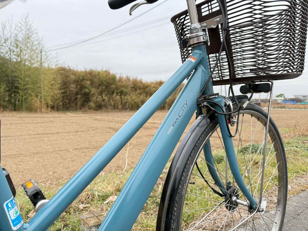 青色 シティタイプ 電動アシスト自転車