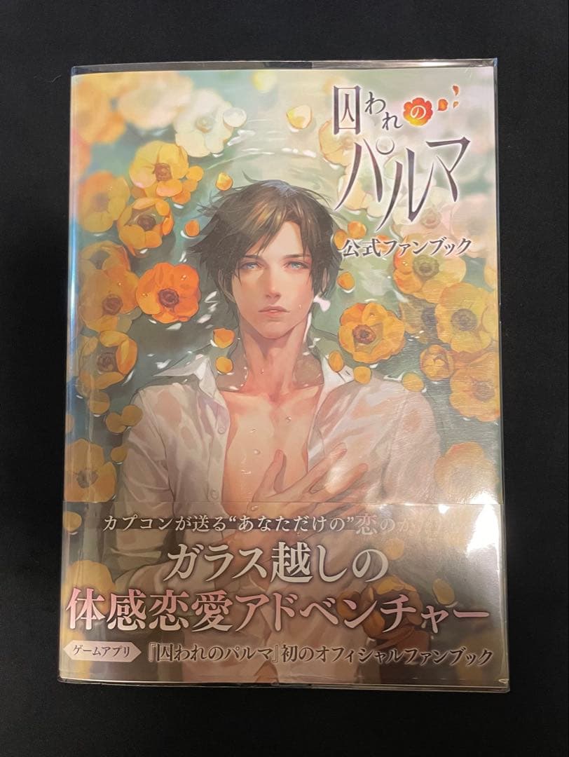 囚われのパルマ 公式ファンブック