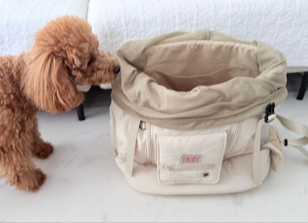 コンフィーラビオリ テンマイルバッグL