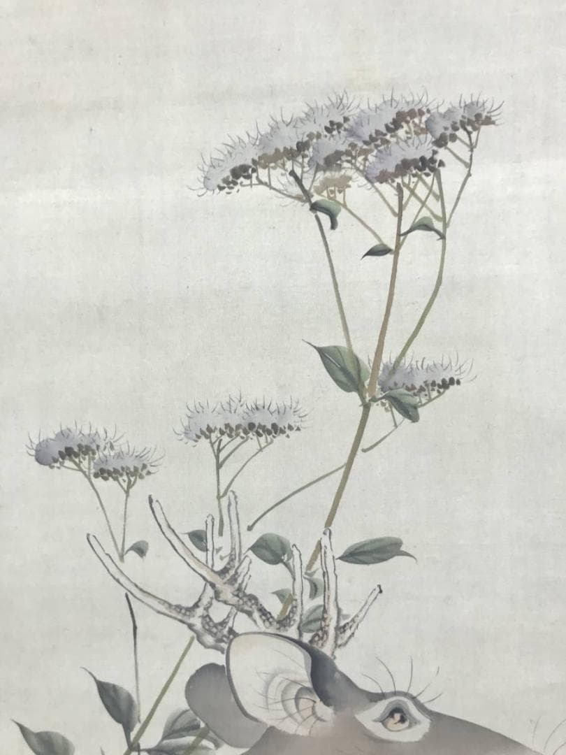 【真作】西山芳園/草花鹿図/鹿図/花鳥図/掛軸☆宝船☆AD-494