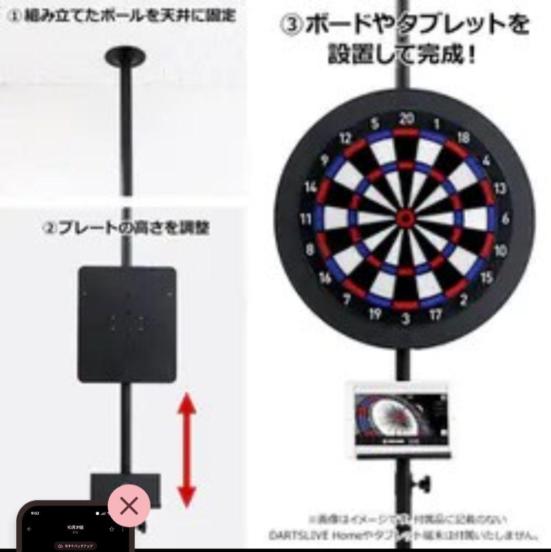 DARTSLIVE ゼロボート　ポール　マット　セット