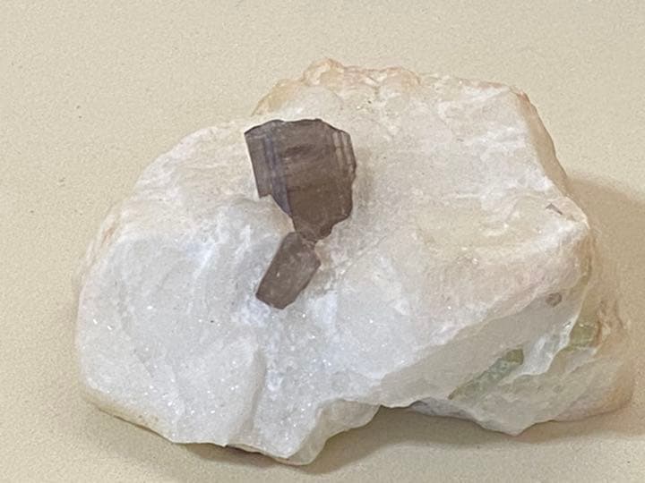 スキャポライト  195g