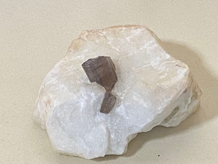 スキャポライト  195g