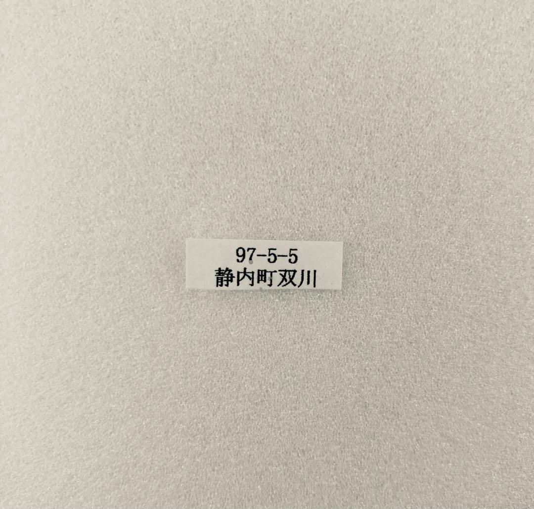【野外品】イエローテール　エゾヒメギフ（1メス、北海道産）