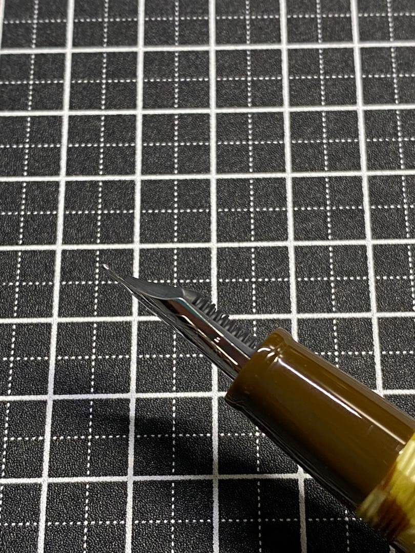 DELTA Vintage Collection Anima 万年筆　字幅F