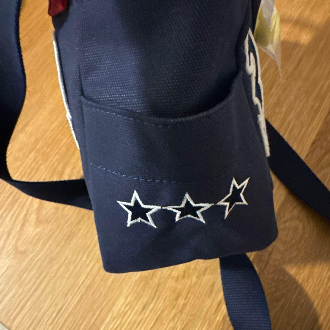 PEARLY GATES PG 89 ゴルフバッグ