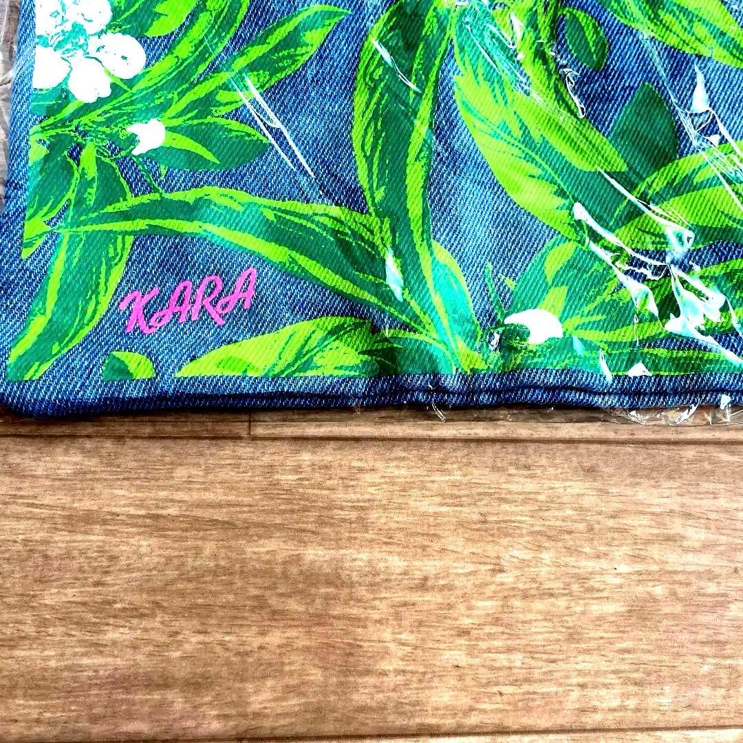 ☆非売品☆KARA限定ツアーグッズセット☆