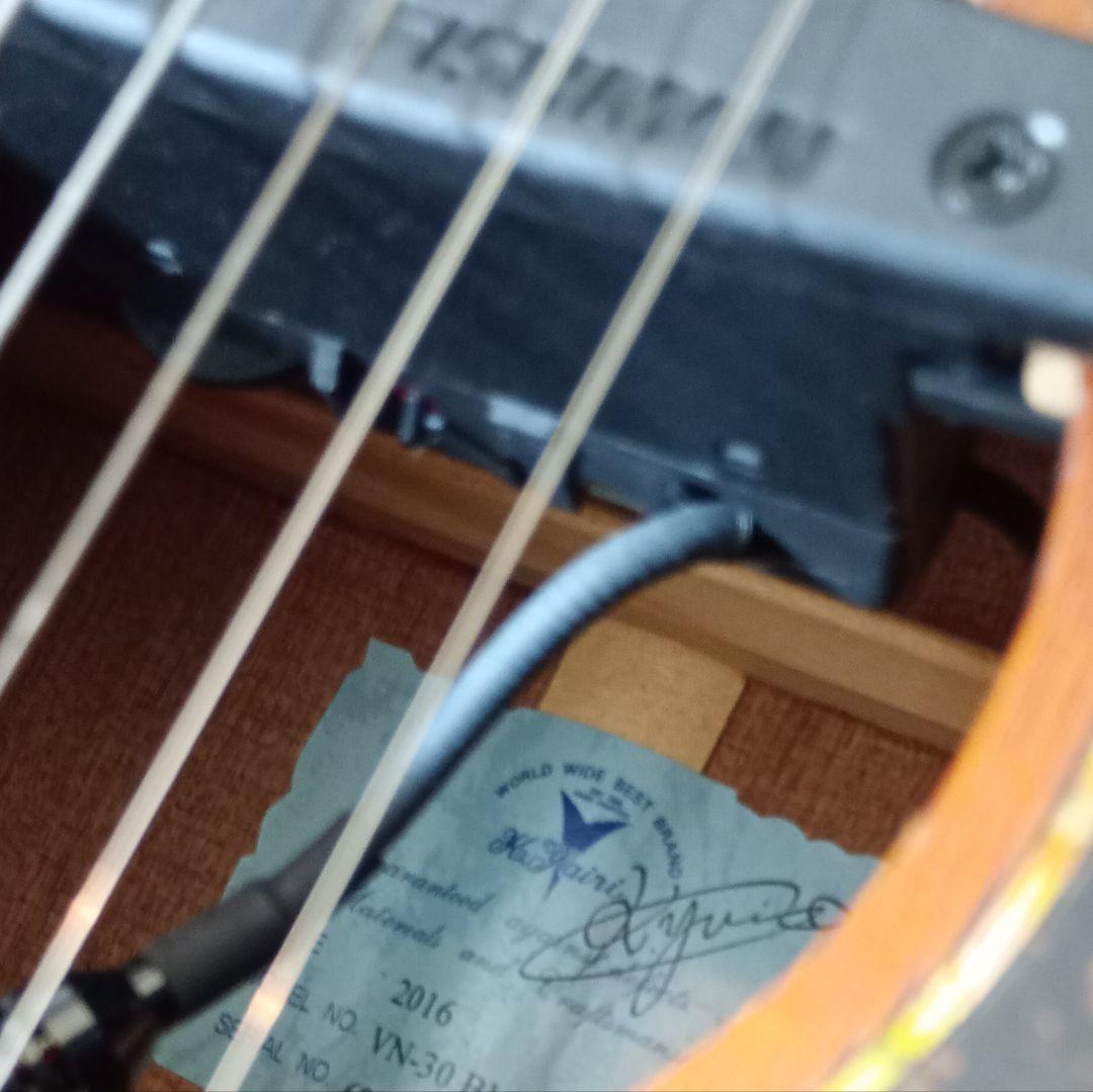 Vincent VN-30Blues HC付 Fishman後付け