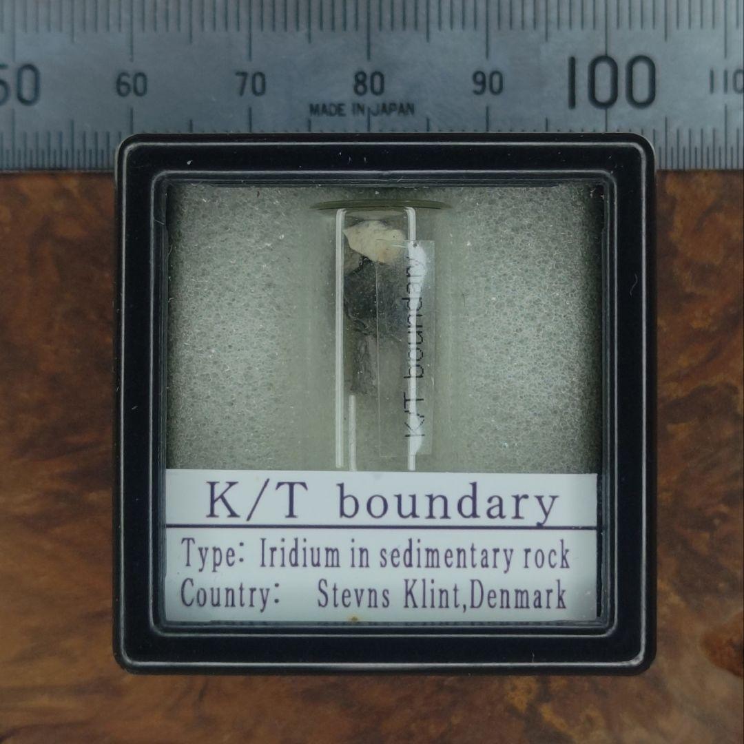 入手不可！小惑星のかけら Ｋ-Ｔ境界層（K/Pg境界頁岩）　標本