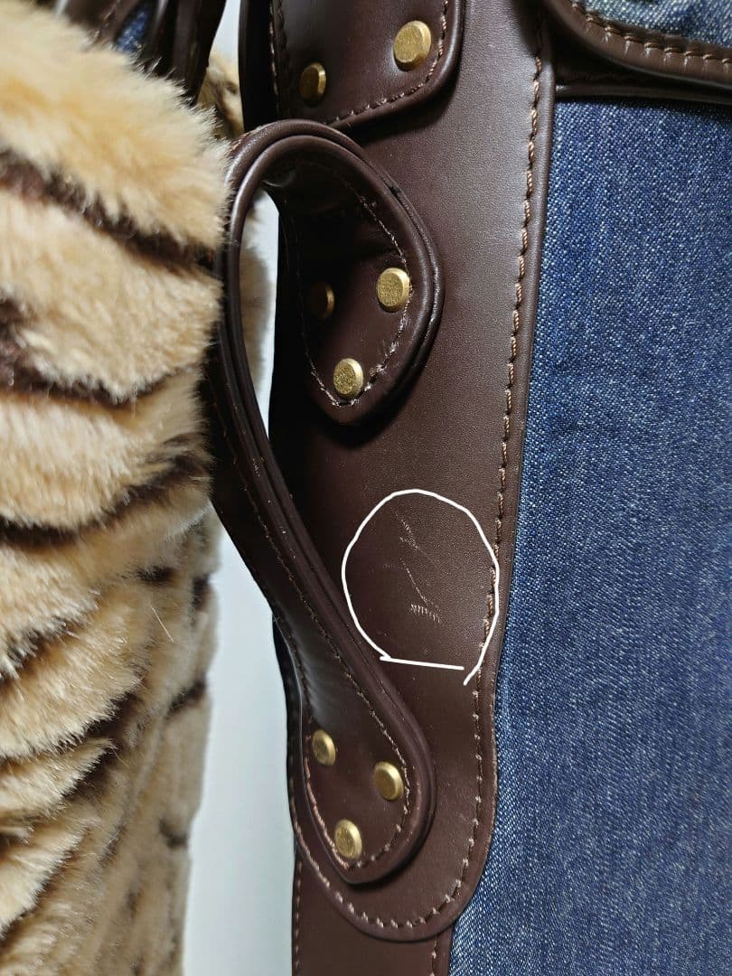 極上極美品✨EVISU＆GOLF デニム キャディバッグ フード一体型初期モデル