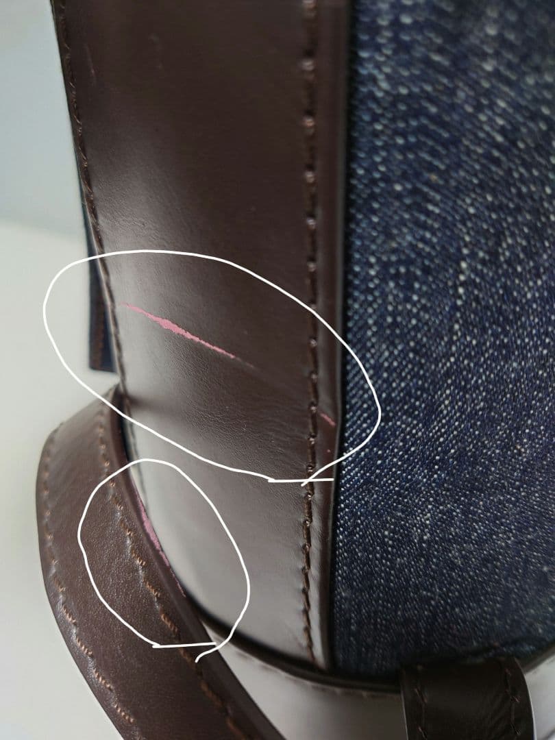 極上極美品✨EVISU＆GOLF デニム キャディバッグ フード一体型初期モデル