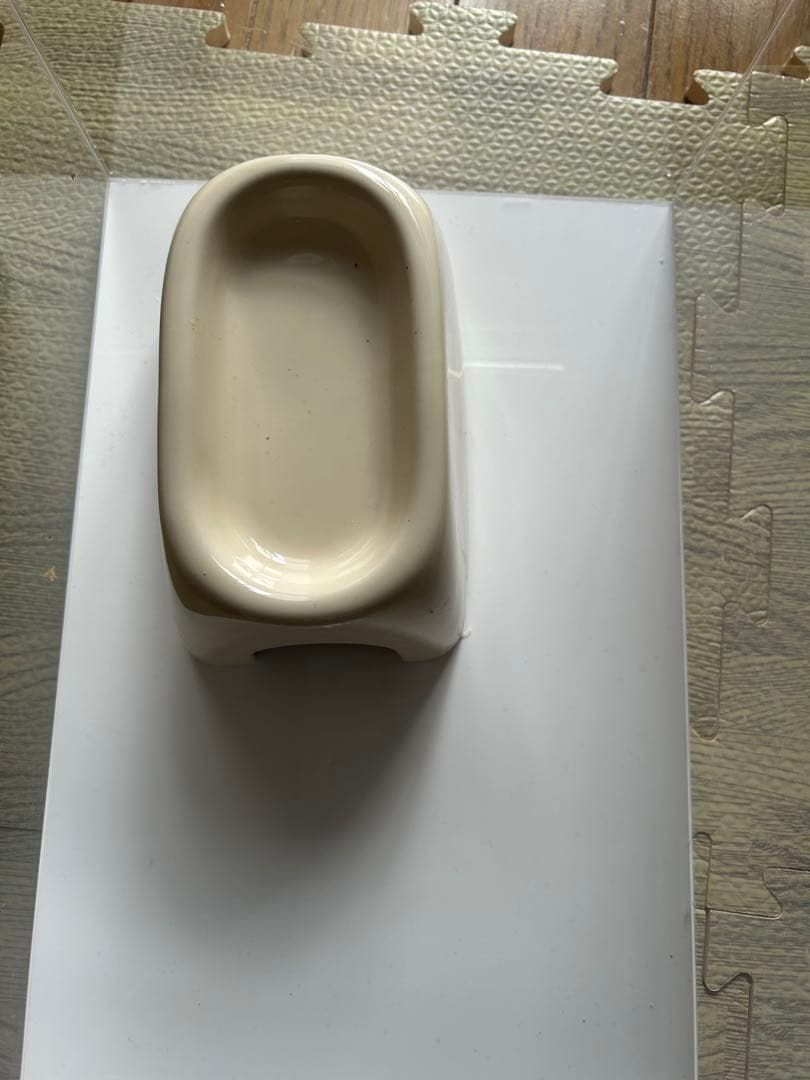 ごま【引き取り限定】爬虫類飼育セット（フトアゴ、レオパ）兵庫県神戸市