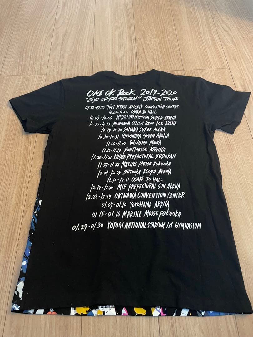 ONE OK ROCK TOUR Tシャツ&ロンT 10枚セット