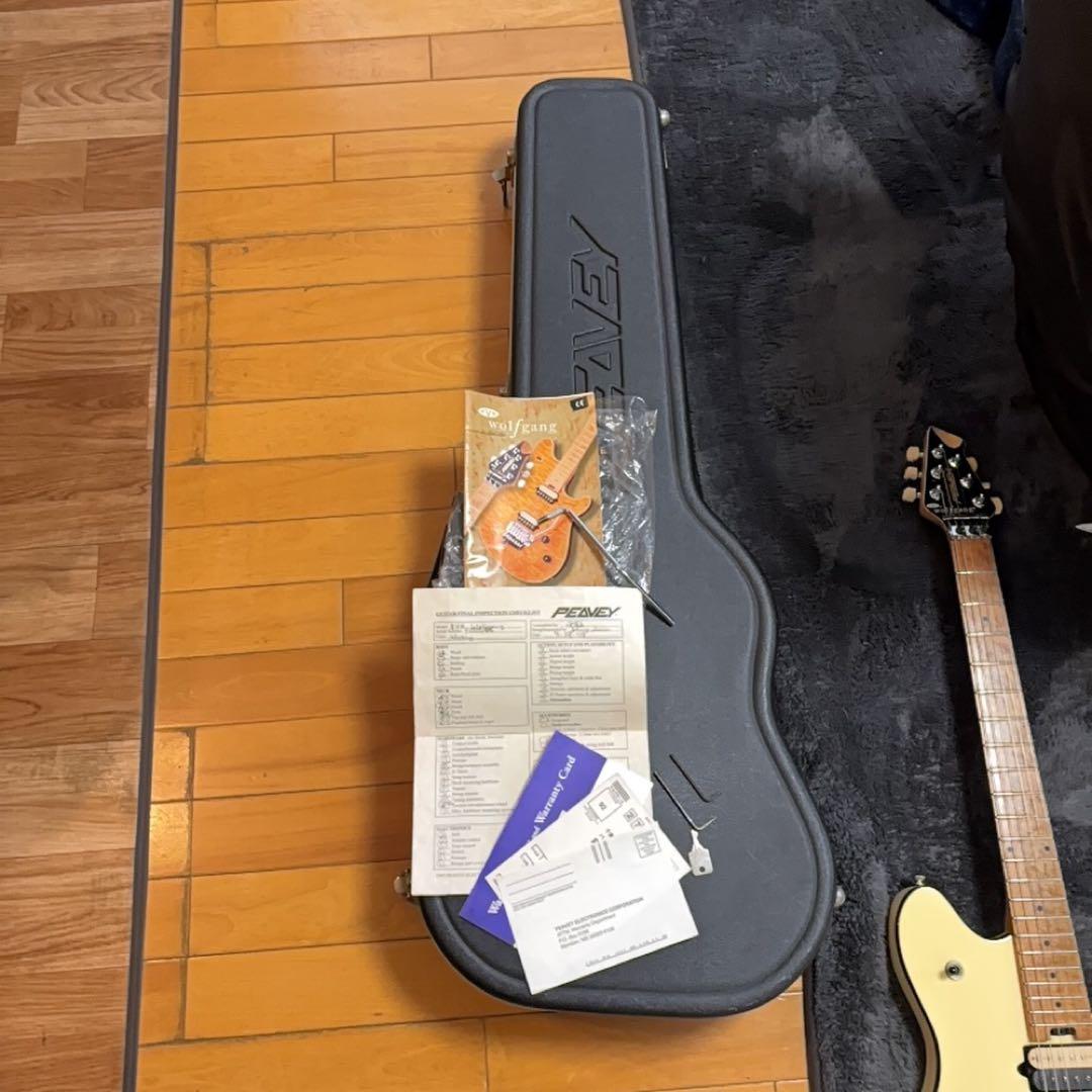 ギター PEAVEY WOLFGANG