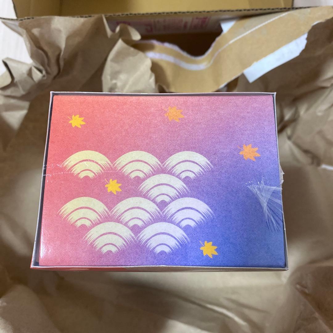 【新品未開封】ポケモンセンター　ヒロシマ　スペシャルBOX シュリンク付き