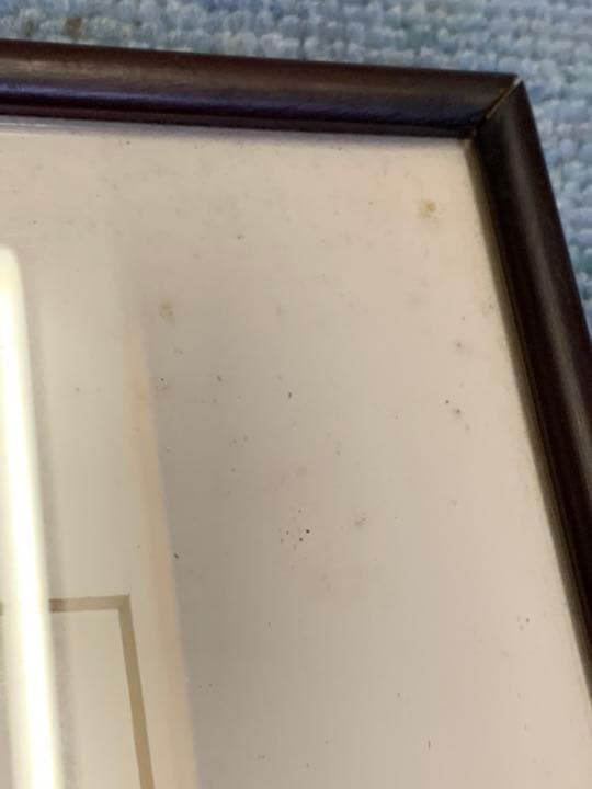 ENGLISH・IRIS  KENPERRY  ヴィンテージポスター