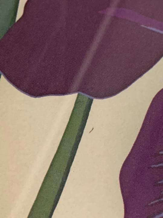 ENGLISH・IRIS  KENPERRY  ヴィンテージポスター