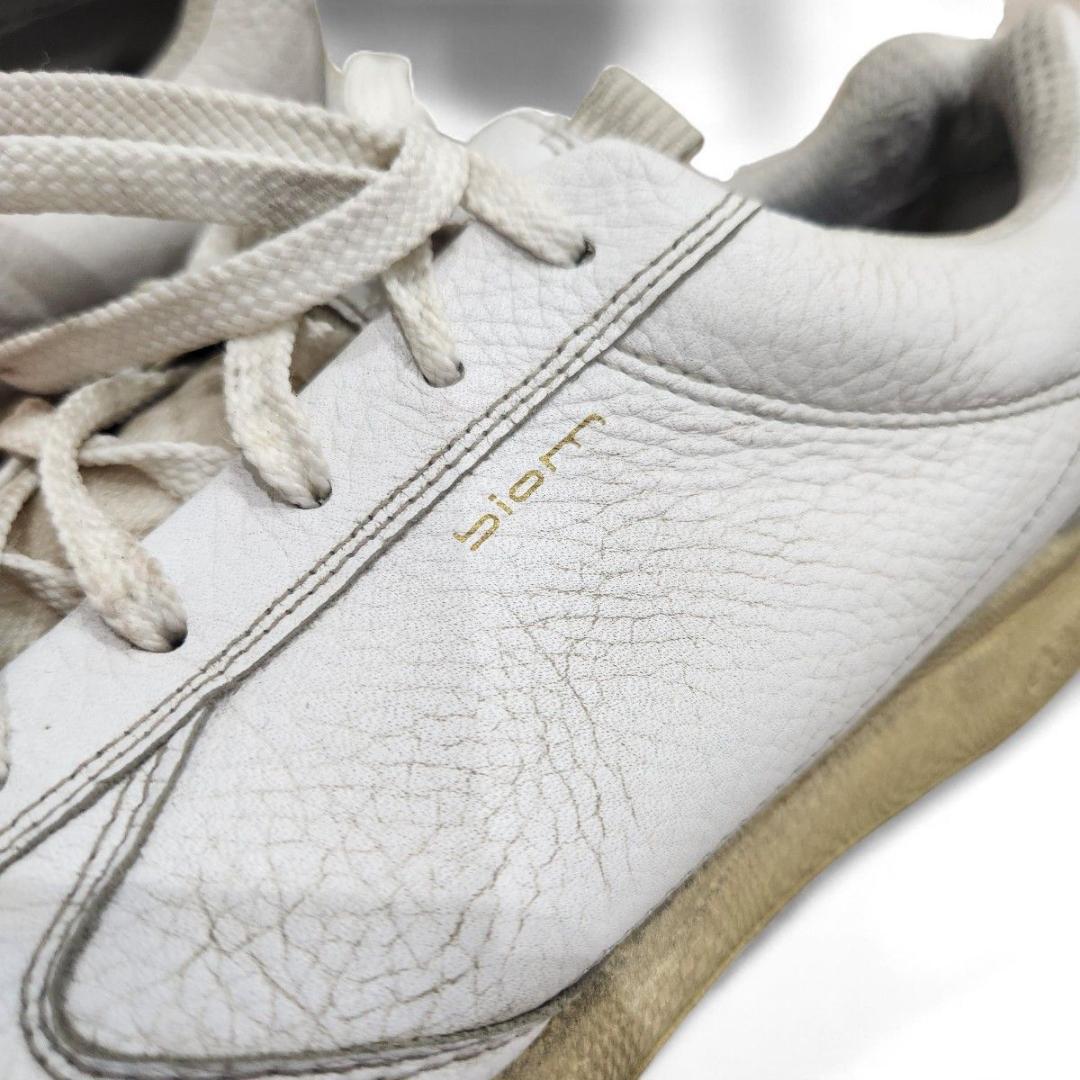 ECCO BIOM HYBRID ゴルフシューズ メンズ EU42 レザー 撥水